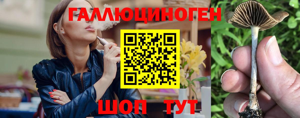 Псилоцибиновые грибы Psilocybe  Вход с VPN  Лосино-Петровский 