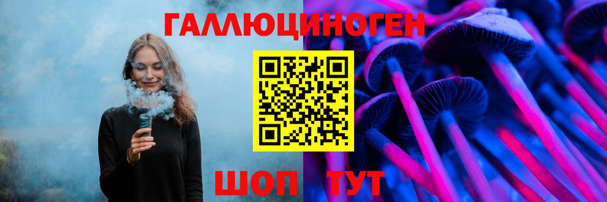 Галлюциногенные грибы Psilocybe Лосино-Петровский